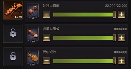 小小蚁国培养兵蚁攻略1