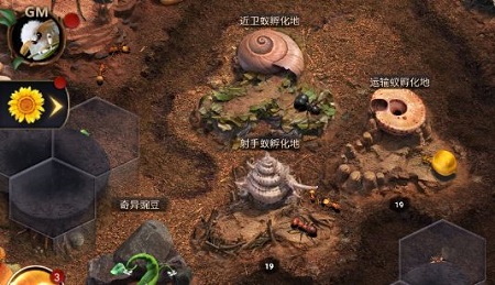 小小蚁国培养兵蚁攻略2