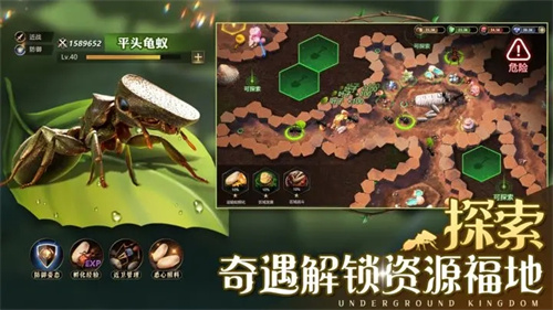 小小蚁国gm版游戏介绍