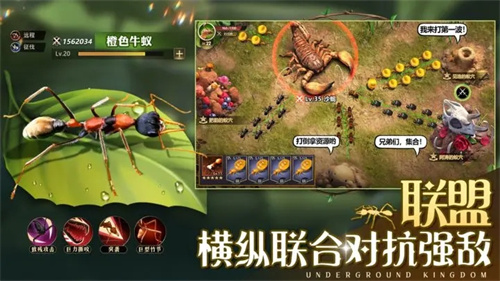 小小蚁国gm版游戏特色