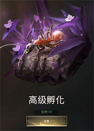 小小蚁国官服怎么玩截图3