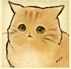 猫咪天堂所有猫咪介绍截图2