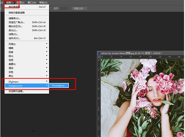 Portraiture磨皮完美注册中文版使用教程截图4