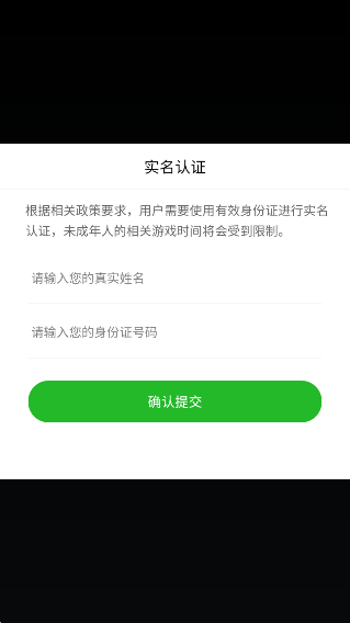 游戏攻略截图1