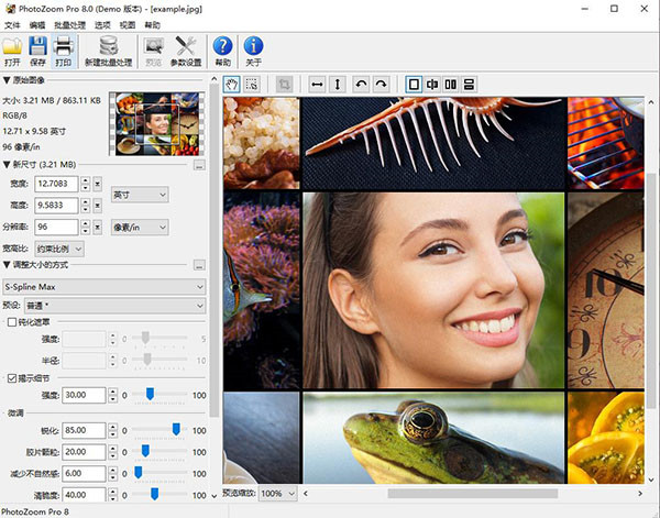 PhotoZoom Pro 8免解锁代码版功能特性