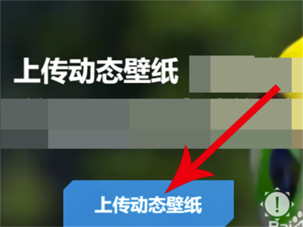 小鸟壁纸美女壁纸软件上传壁纸方法5