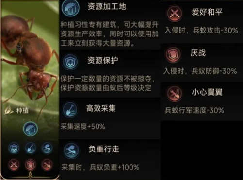 习性选择篇