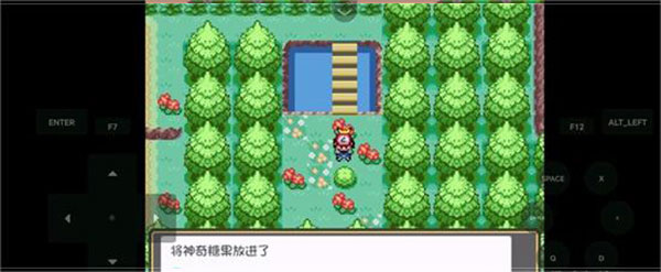 游戏攻略截图2