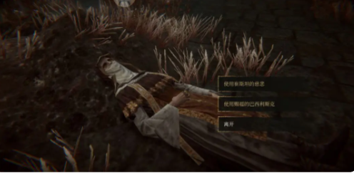 索拉斯大陆上的抉择2