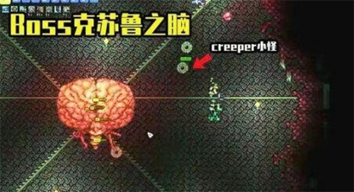 boss顺序和召唤方式截图3