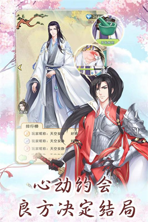 别惹神医小王妃单机版