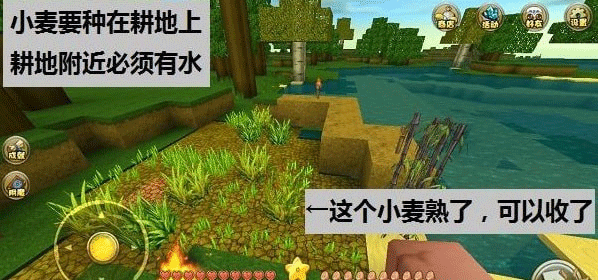游戏攻略6