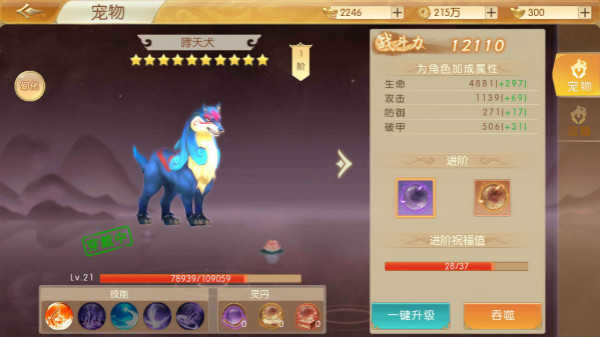 宠物玩法介绍