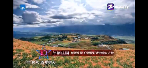 怎么投屏电视?1