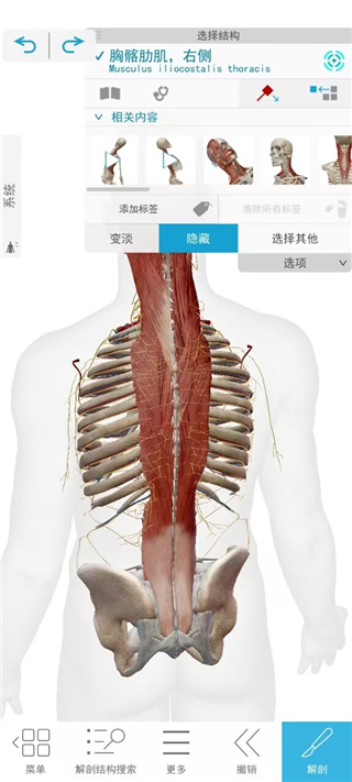 使用说明截图4