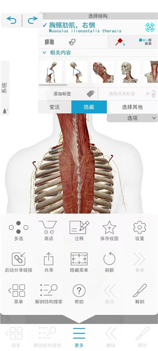 使用说明截图6