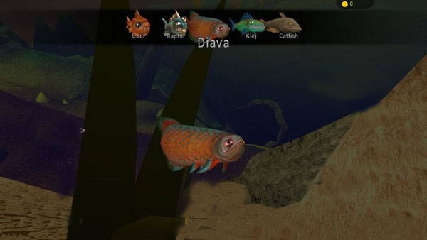 Diava