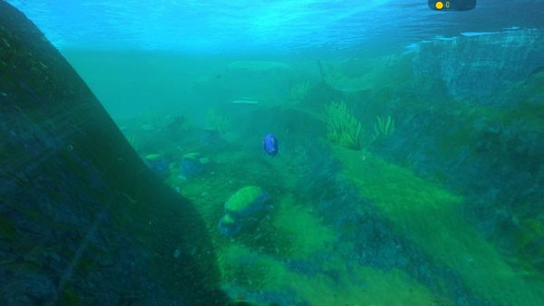 河流