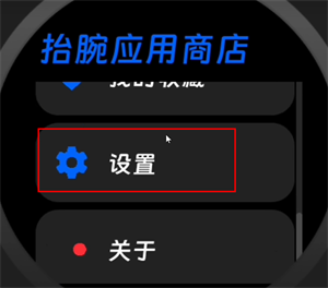 抬腕应用商店最新版适配应用教程1