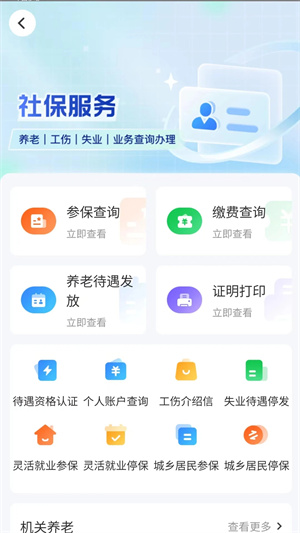 湖南智慧人社养老认证下载
