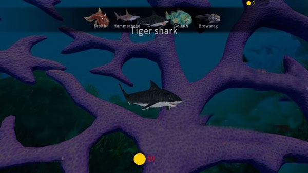 Tiger Shark(海洋)截图