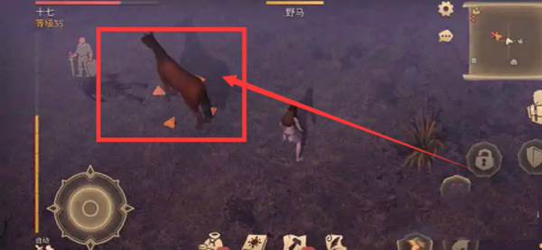 黑暗幻想生存马怎么抓?1
