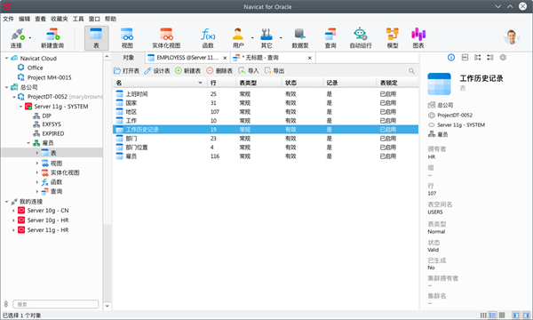 Navicat for Oracle下载 第1张图片