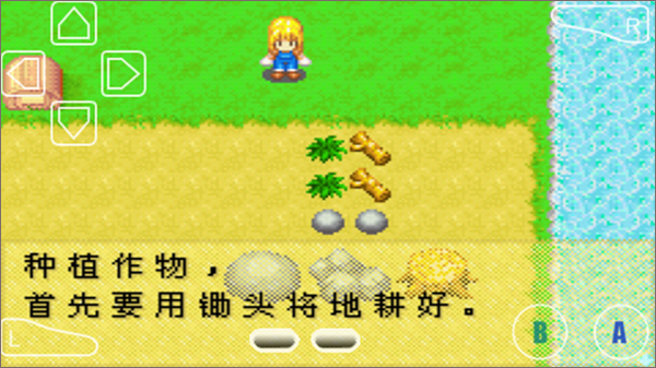 怎么种植农作物1