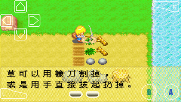 怎么种植农作物2