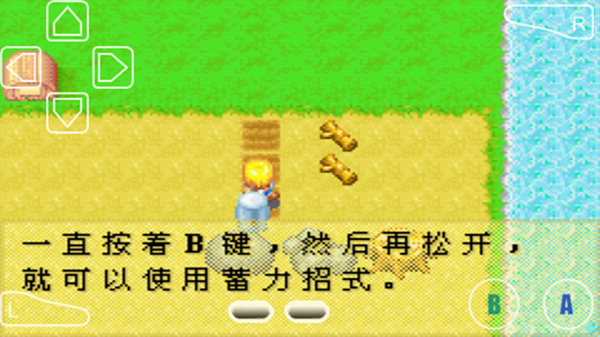 怎么种植农作物3