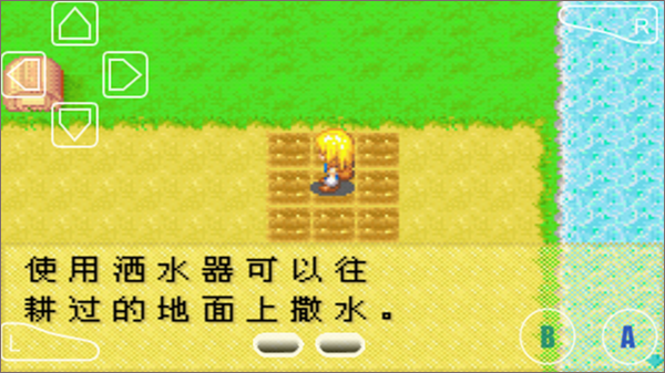 怎么种植农作物5