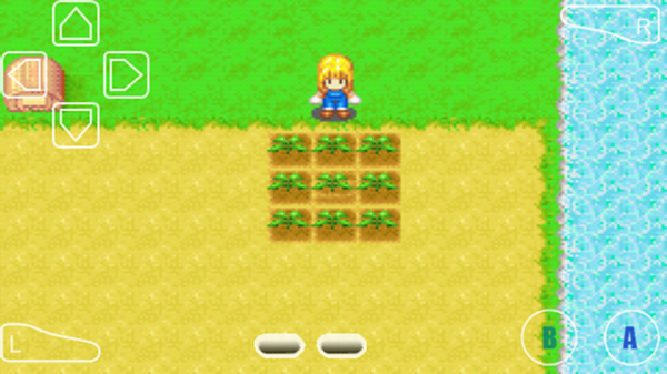 怎么种植农作物6