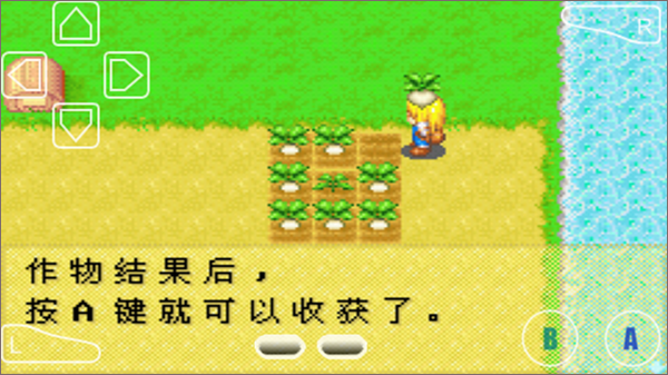 怎么种植农作物7