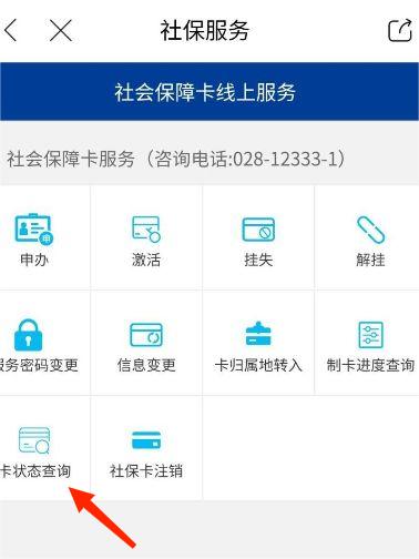 怎么查询社保缴费记录2
