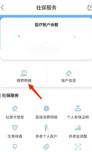 怎么查询社保缴费记录3