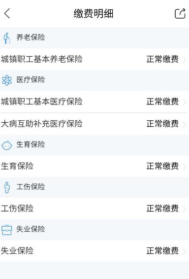 怎么查询社保缴费记录4