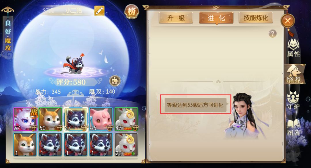 宠物知识全解析截图2