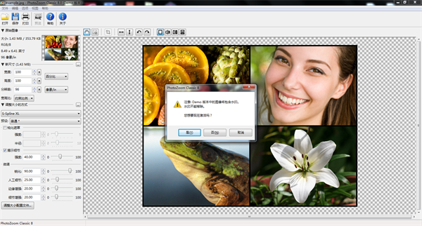 PhotoZoom Classic中文版 第1张图片