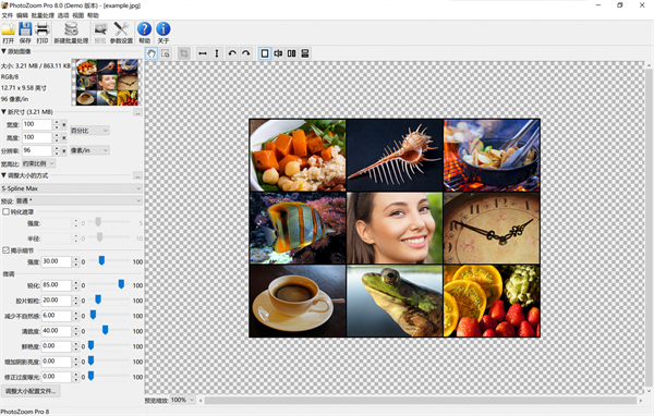 PhotoZoom Classic中文版怎么去除图片像素感