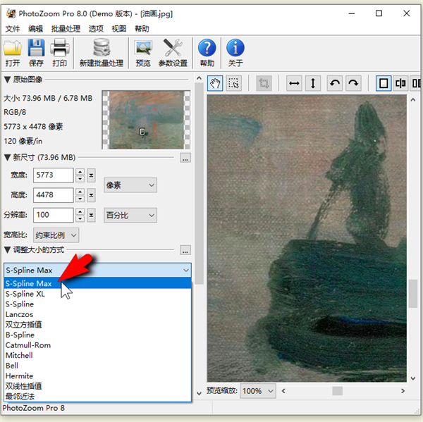 PhotoZoom Classic中文版如何让优化打印效果更精细