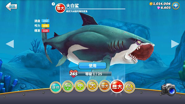 哪些鲨鱼厉害截图4