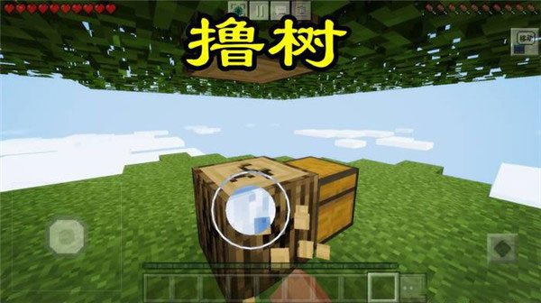 撸树
