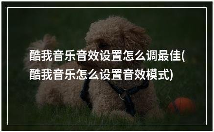 设置音乐音质1