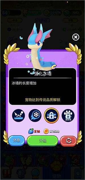 宠物介绍1