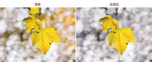 Snapseed官方正版蒙版详细教程截图2