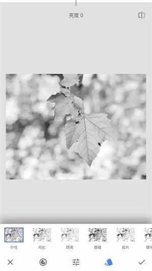Snapseed官方正版蒙版详细教程截图3