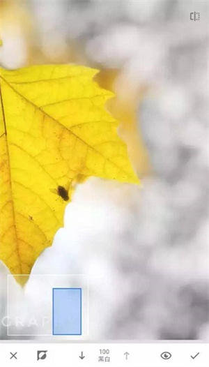 Snapseed官方正版蒙版详细教程截图6