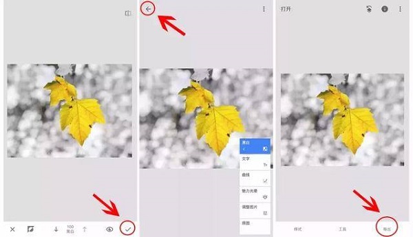 Snapseed官方正版蒙版详细教程截图7