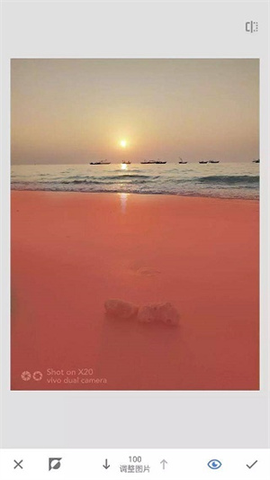 Snapseed官方正版蒙版详细教程截图10