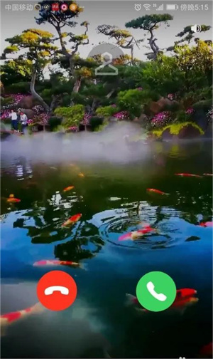 设置来电视频教程截图8